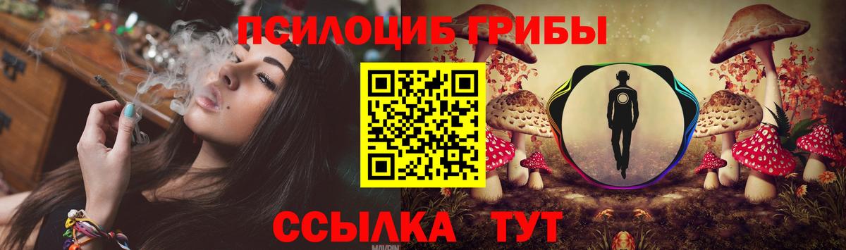 Баксан  закладки  Вход с VPN  Псилоцибиновые грибы Magic Shrooms  Псилоцибиновые грибы мухоморы 