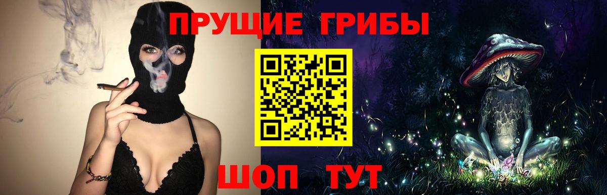 Псилоцибиновые грибы Psilocybe Баксан